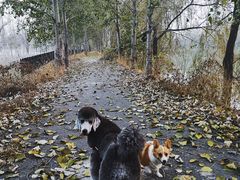 -东郊湿地公园