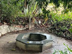 -广西壮族自治区药用植物园
