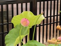 -舟小鲜·舟山小渔村(凤城四路中登广场店)