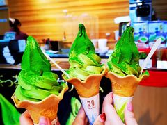 -鎌倉茶々(本店)