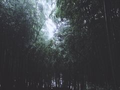 -重庆雨台山风景区