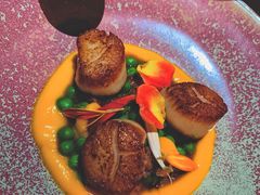香煎带子-Osteria Garden 生蚝花园餐厅(原进贤路店)