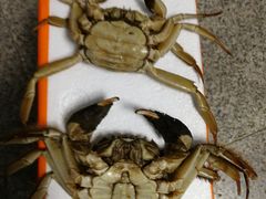 -盒马鲜生(大成店)