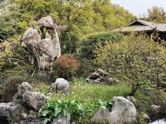 -西湖外事游船(花港观鱼码头)