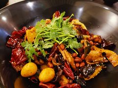 -食乐佳麻辣香锅(森林摩尔商业街区店)