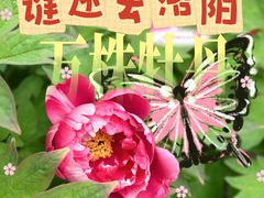 -太阳宫公园