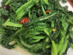 -曾牛肉