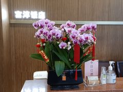 -富淳饭店(陆家嘴保利广场店)