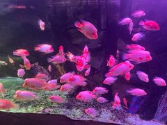 -泉城欧乐堡海洋极地世界