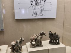 -总统兵马大元帅府