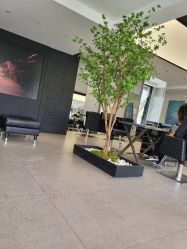 -付军剪艺JF ProSalon