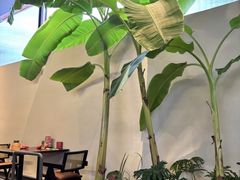 -单家老院·院子里的青岛菜(沙子口店)