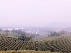 -帐篷客·溪龙茶谷度假酒店