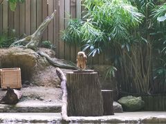 -河川生态园