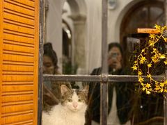 -马勒别墅·中餐厅