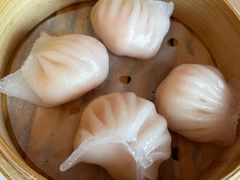 -咖啡苑 - 蔚藍夏日限定主题(永利皇宫店)