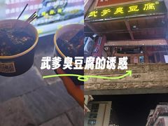 -武爹臭豆腐(坡子街店)
