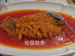 松鼠桂鱼-荣乐园