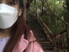 -海南霸王岭国家森林公园
