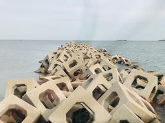 -东疆建设开发纪念公园