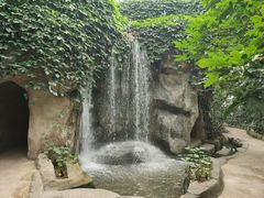 -南山植物园