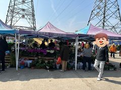 -中环花鸟鱼虫市场