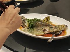 -金华安大酒楼·老牌潮菜·粤式茶点(东方国际店)