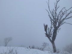 -太子岭滑雪场
