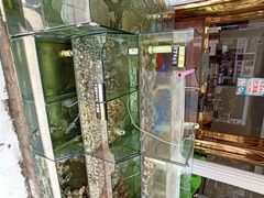 -四海鲜渔家菜(黄金海岸店)