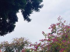 -晋江五店市传统文化旅游区