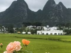 -万峰林风景区