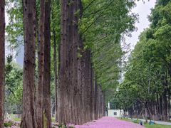 -后襄河公园