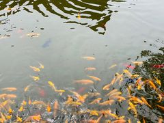 -西安华清御汤酒店