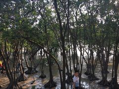 -宝安西湾红树林湿地公园