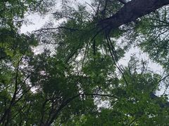-崂山巨峰游览区