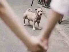 -老房子金沙元年川菜食府·草坪婚礼(毗河店)