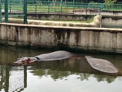 -哈尔滨北方森林动物园