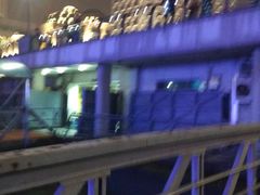 -黄浦江游览快线(金陵东路码头)