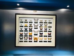 -上海昆虫博物馆