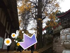 -金堂县云顶石城风景区