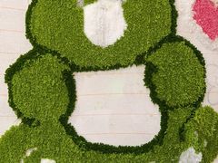 -昂飞儿童教育成长中心