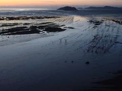 -北岐滩涂