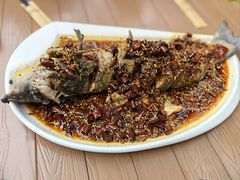-若水农家乐