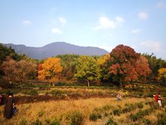 -塔川景区