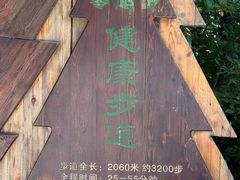 -汤旺河林海奇石景区