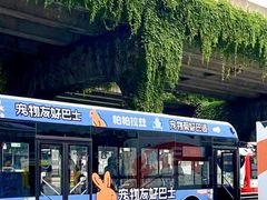 -帕帕拉兹宠物(亚洲旗舰店)