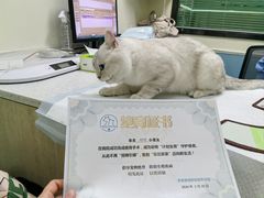 -天宠宠物医院24小时·急重症诊疗中心·全科·腔镜特色(和平分院)