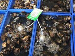 水产区-先锋海鲜市场