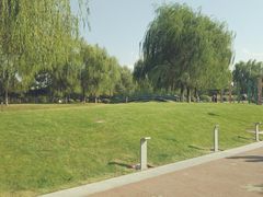 -莫子山公园