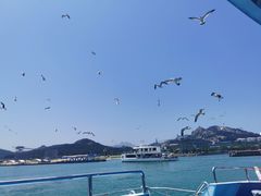 -海驴岛(荣成市)